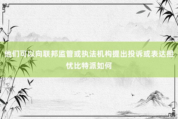 他们可以向联邦监管或执法机构提出投诉或表达担忧比特派如何