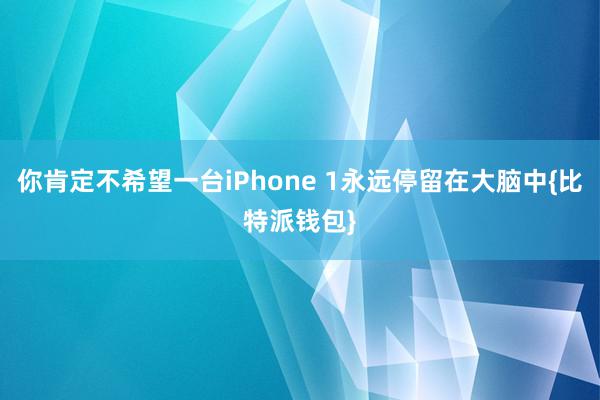 你肯定不希望一台iPhone 1永远停留在大脑中{比特派钱包}