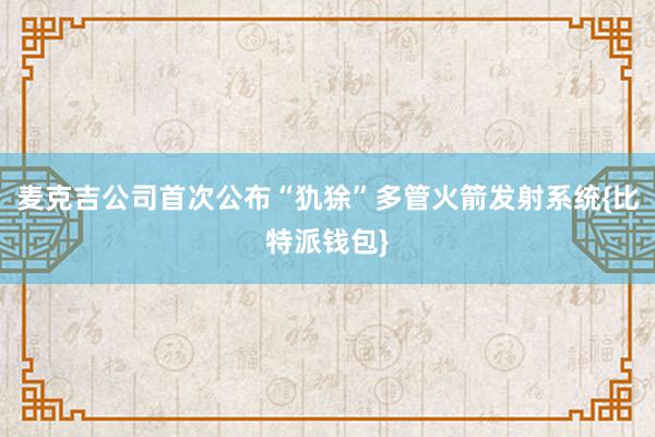 麦克吉公司首次公布“犰狳”多管火箭发射系统{比特派钱包}