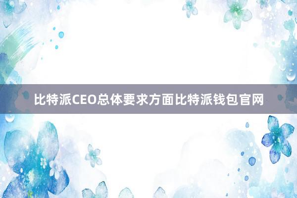 比特派CEO总体要求方面比特派钱包官网