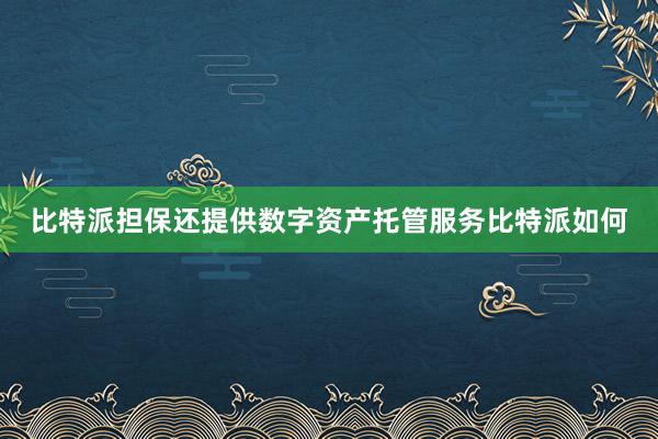 比特派担保还提供数字资产托管服务比特派如何