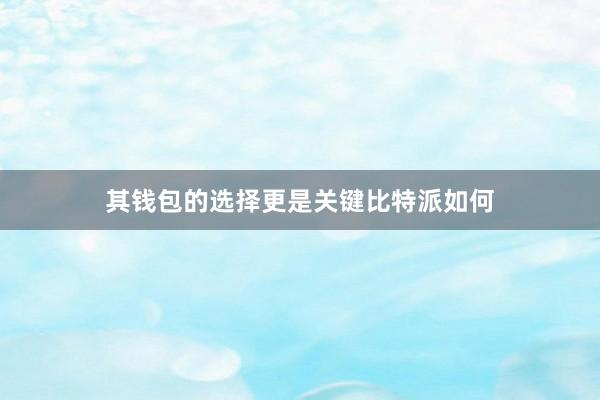 其钱包的选择更是关键比特派如何