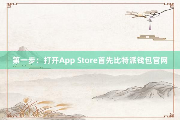 第一步：打开App Store首先比特派钱包官网