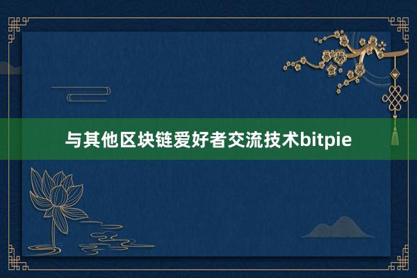 与其他区块链爱好者交流技术bitpie