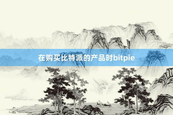 在购买比特派的产品时bitpie