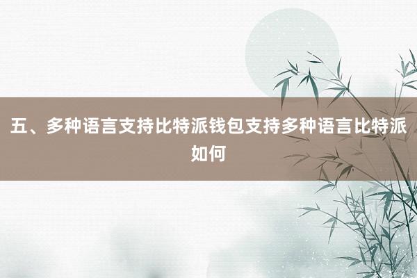 五、多种语言支持比特派钱包支持多种语言比特派如何