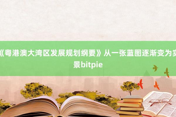 《粤港澳大湾区发展规划纲要》从一张蓝图逐渐变为实景bitpie