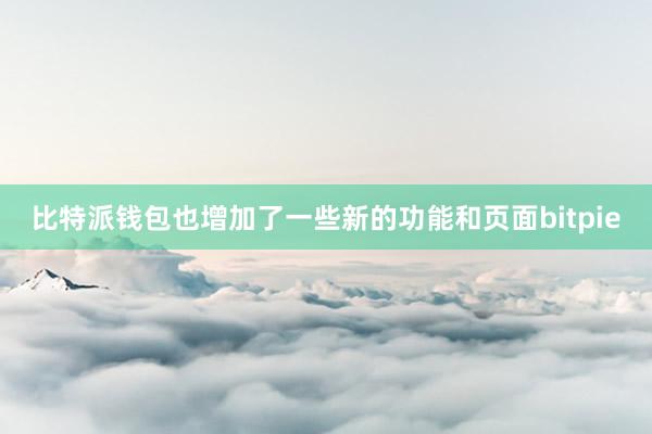 比特派钱包也增加了一些新的功能和页面bitpie