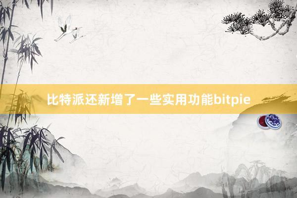 比特派还新增了一些实用功能bitpie