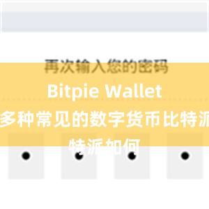 Bitpie Wallet 支持多种常见的数字货币比特派如何