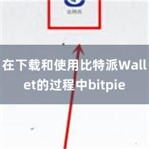 在下载和使用比特派Wallet的过程中bitpie