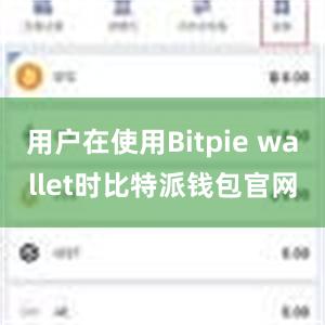 用户在使用Bitpie wallet时比特派钱包官网